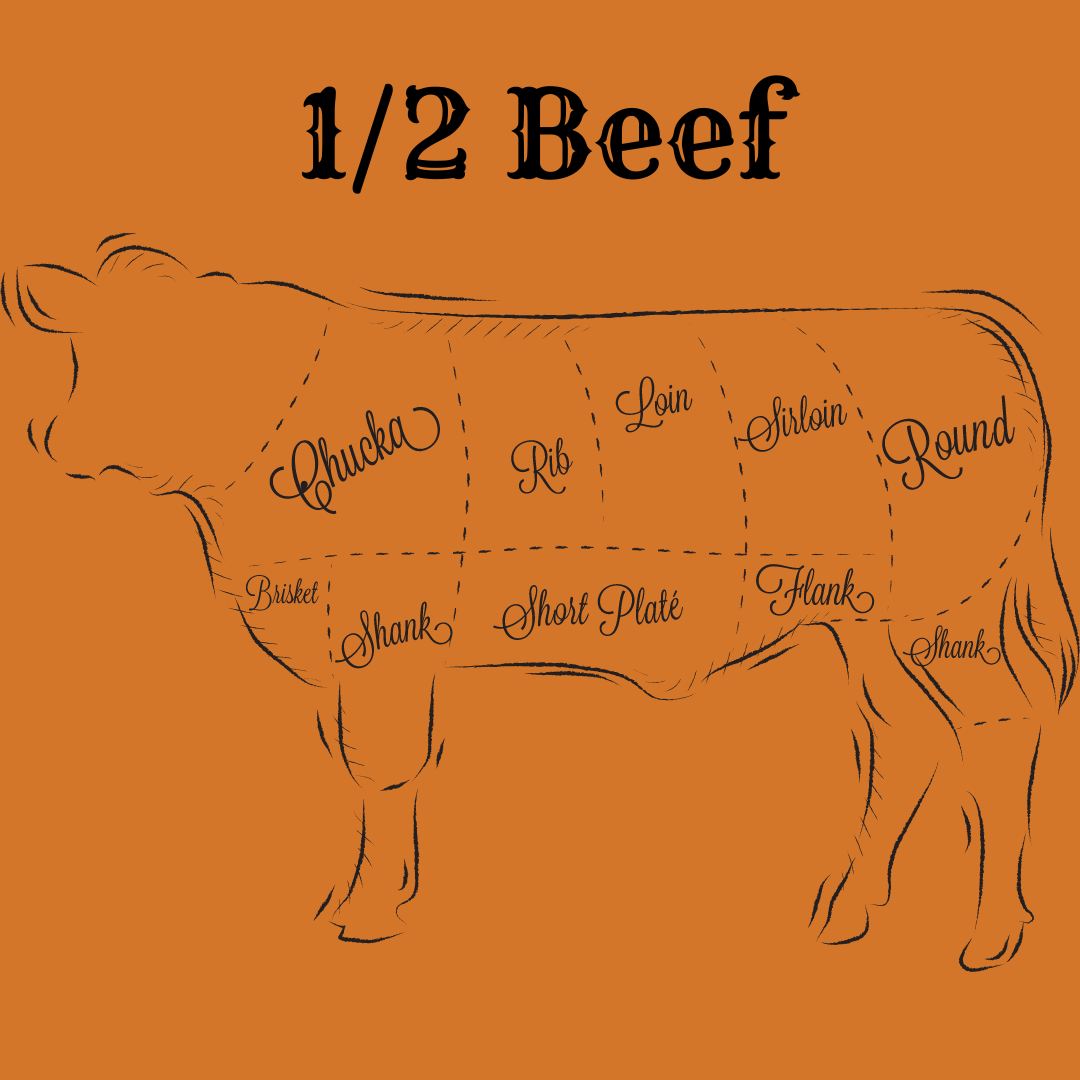 1/2 Grain Finished Beef (300 lbs.)